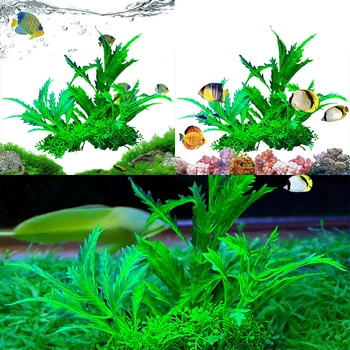 Декорация на аквариума Различни имитациями растения, водни растения, водни растения, аквариумни растения, декоративни изделия