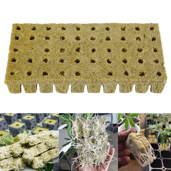 50шт Кубчета Листа блок Размножаването на Клонирането Отглеждане на семена Гидропонная беспочвенная кацане гъба за гидропонного стартер