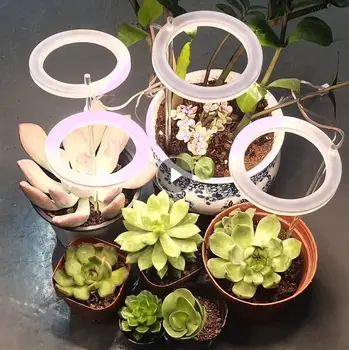 Led лампа за отглеждане на растения, фитолампа пълна гама от USB-фитолампа за растенията, лампа за отглеждане на растения 5, осветление за стайни растения